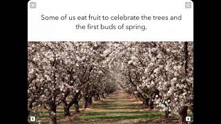 On Tu BiShvat We Eat Fruit. screenshot 4