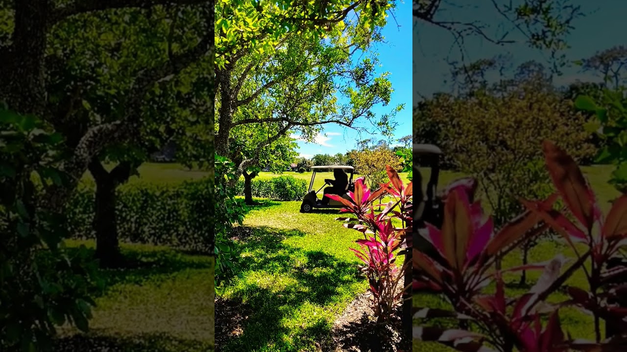 Sasquatch is a poor golf mate..