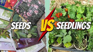 Seeds vs seedlings - Which is Best, When? by Gardenerd 450 views 1 month ago 9 minutes, 42 seconds