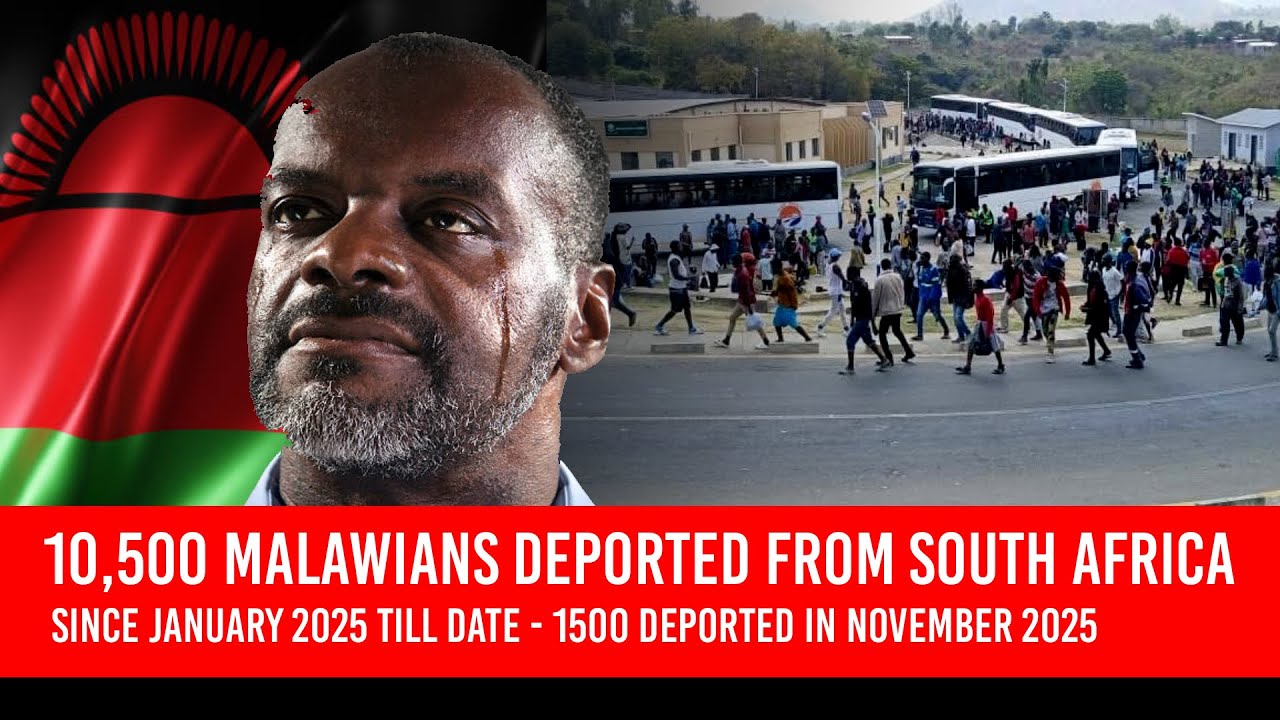 1500 малавийцев депортированы за ОДИН месяц! 🇲🇼🇿🇦 | Более 10 500 человек депортированы в 2025 год...