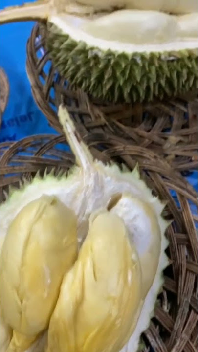 Mukbang Durian Biar sehattt guys, mumpung harganya masih murah-murah - Food Story #shorts