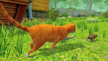 Mouse Simulator Games Android GamePlay Mouse Simulator : rat rodent animal life