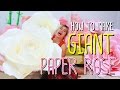 How to make GIANT PAPER ROSE by Madammouth - มาดามเม้าท์สอนทำกุหลาบกระดาษขนาดใหญ่ (มากกก)