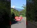 jauh ko pergi #nature #dangdut #dangdutkoplo #cover #kuli #musikhiburan #jalan #shortvideo #shorts