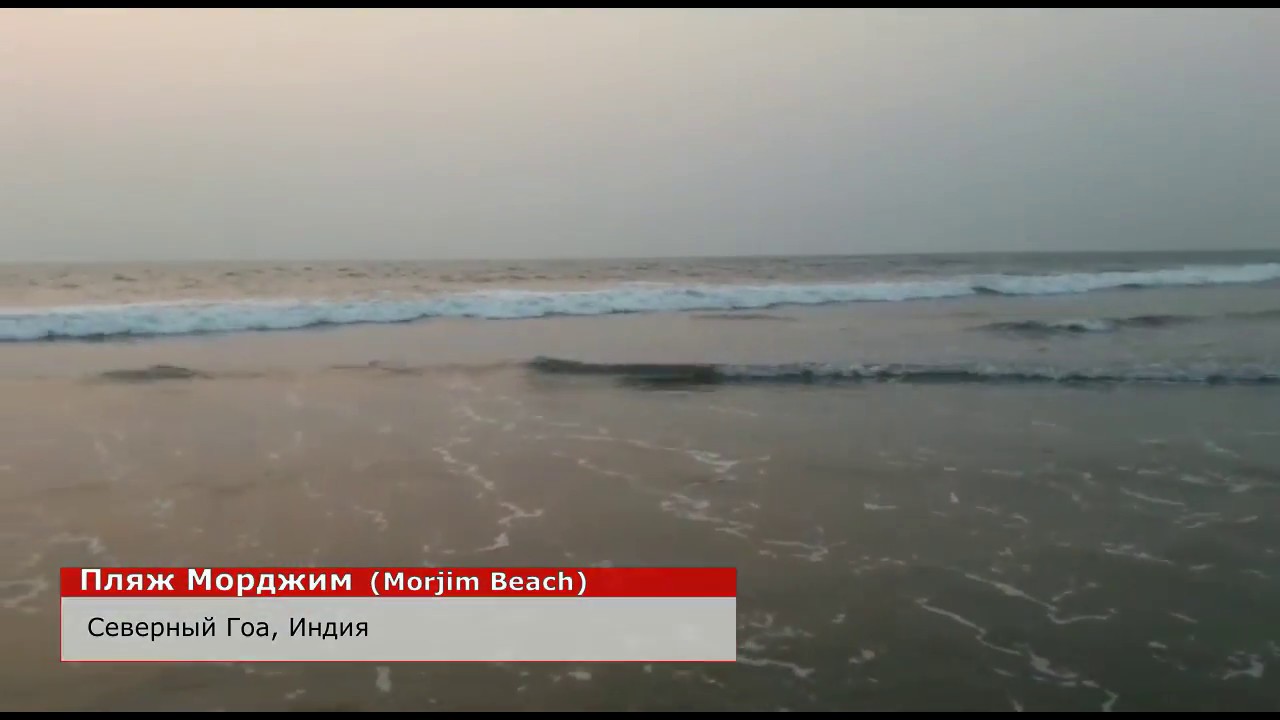 Влог: Пляж Морджим, Северный Гоа, Индия / Morjim Beach, North Goa, India, Vlog