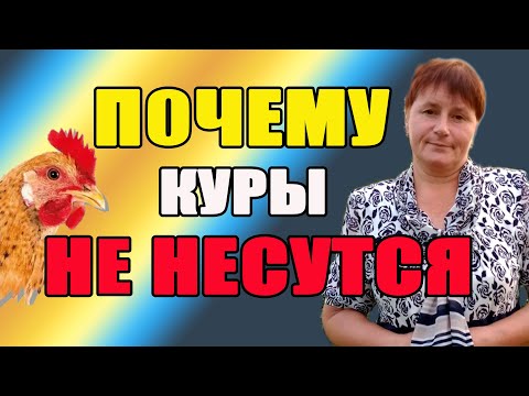 Почему куры НЕ НЕСУТСЯ. Упала яйценоскость - причины.