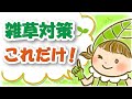 【初心者向け】雑草対策はこれだけでOKです。