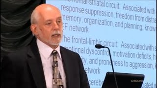 The Neuroanatomy of ADHD and thus how to treat ADHD - CADDAC - Dr Russel Barkley part 2b