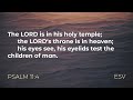 Lansdowne EF Church Prayer Meeting - Psalm 11 - 12 May 2020