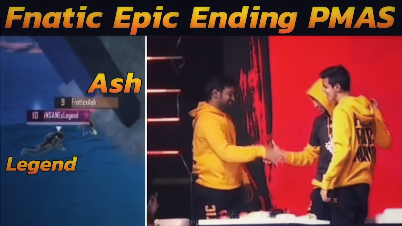 Fnatic Epic Ending PMAS Final | Fnatic vs Insane Last Circle Fight