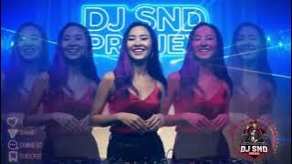 Dangdut Koplo DJ Remix 2025 |  INDO DUGEM PARTY TERBARU VIRAL 2025 | DJ DANGDUT KOPLO