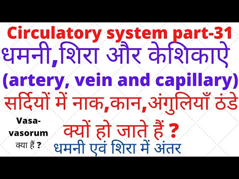 circulatory system/ part-31/धमनी/शिरा/केशिकाऐ/artery/vein/ capillary/Vasa-vasorum