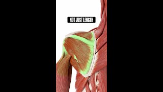 Don’t Stretch Your Shoulder