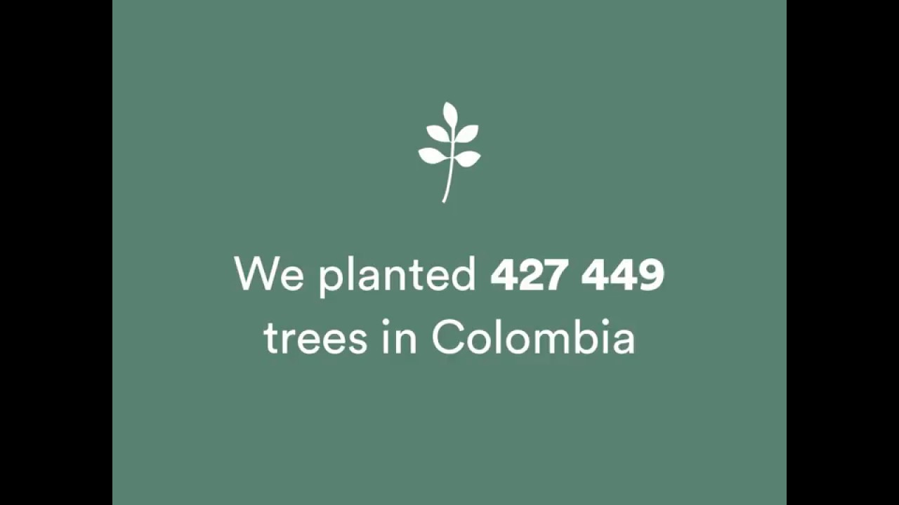 How can a climate neutral packaging make a change? video editing software free