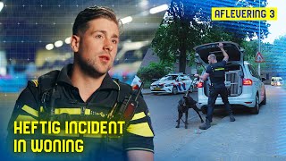 Team Surveillancehonden #3 | Schildenprocedure & Heftig incident in woning