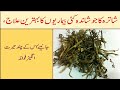 Shatras decoction is the best cure for many diseases  ku g health  beauty tips