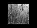 Video thumbnail for Striborg - "Ghostwoodlands" [full album, 2007]