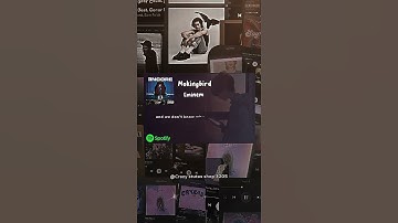 🥰😍Mokingbird 😍🥰text lyrics stutas | Spotify music card lyrics stutas | #shorts #lyrics