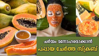 Papaya Body Scrub For Soft Skin | പപ്പായ കൊണ്ട് ബോഡി സ്‌ക്രബ് | Samayam Malayalam screenshot 3