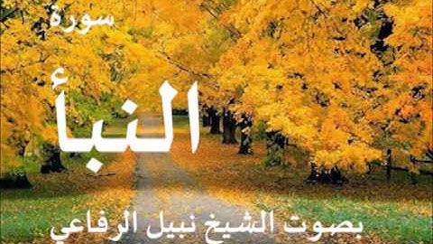 سورة النبأ بصوت الشيخ نبيل الرفاعي 78