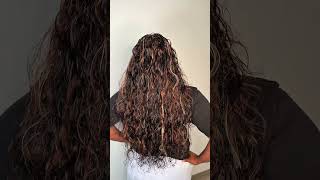 Would You Pay This Much For Braids?