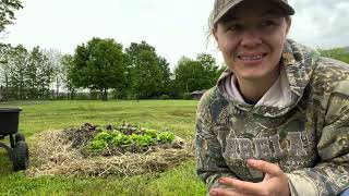 The Attainable Garden Project. Episode 6. Planting lettuce, kohlrabi and chard. Soil health.