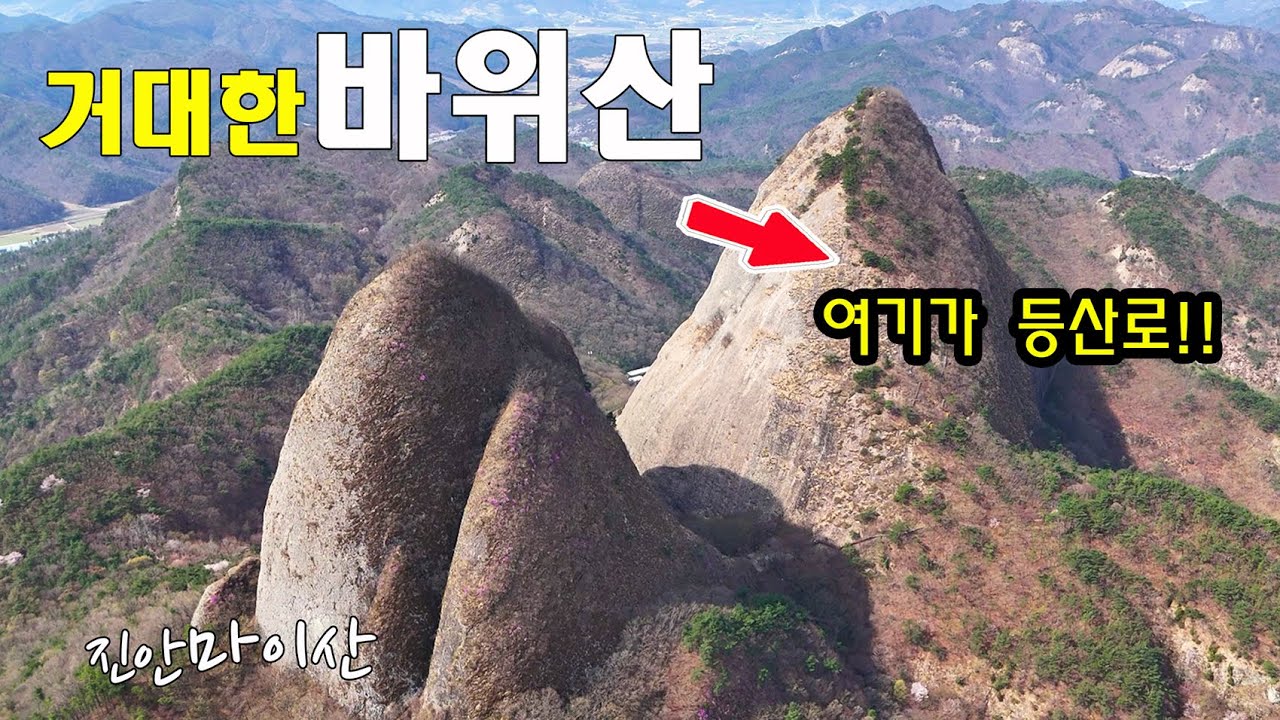 진안 마이산을 즐기는 꿀팁!! 마이산 벚꽃엔딩 100% 만개~!! 벚꽃길 드라이브 드론영상~