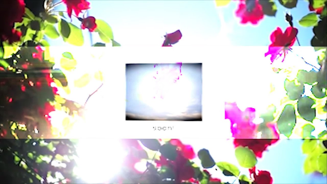 i am the soul and nature is my body