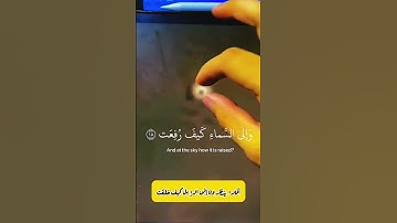 "﴿أفلا ينظرون إلى الإبل كيف خلقت..﴾بصوت القارئ الشيخ ماهر المعيقلي| #قرآن_كريم #ماهر_المعيقلي 🌷