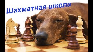 Урок 3. Пешечные слабости Урок 3. Пешечные слабости