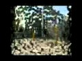 Iran Parkour Sun Boys 