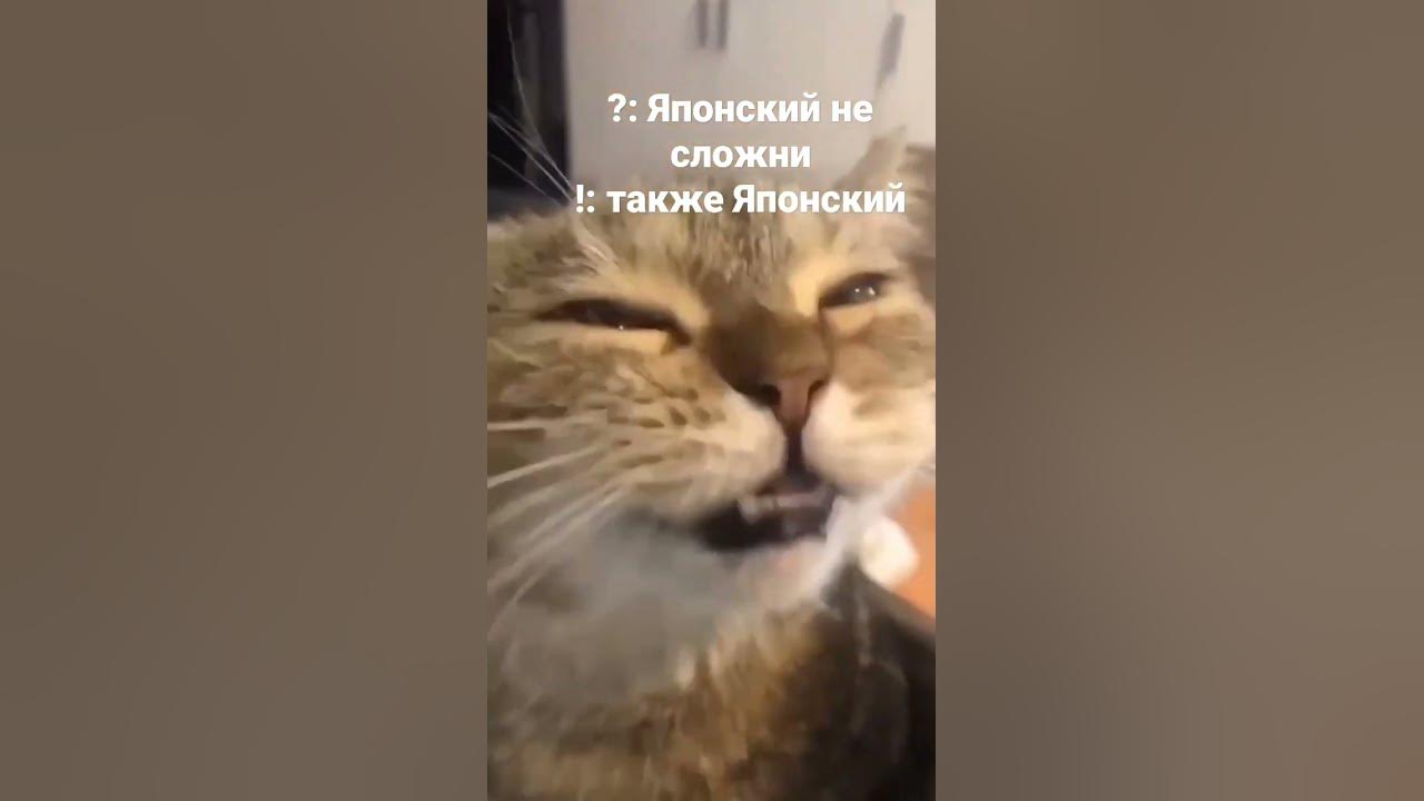эрон Дон дон - YouTube