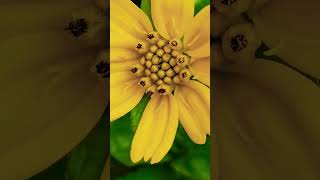 वक्त का सच कोई नहीं बदल सकता इसलिए #lifescience #motivation #ytshorts