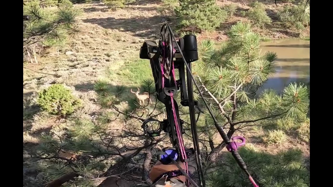Utah General Archery Deer Hunt Abajo Unit 2022 YouTube utah-general-archery-deer-hunt-abajo-unit-2022-youtube