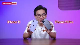 iPhone 11 Pro vs iPhone 11 năm 2024| Chênh nhau 1 CỦ - Chọn sang trọng hay thực dụng