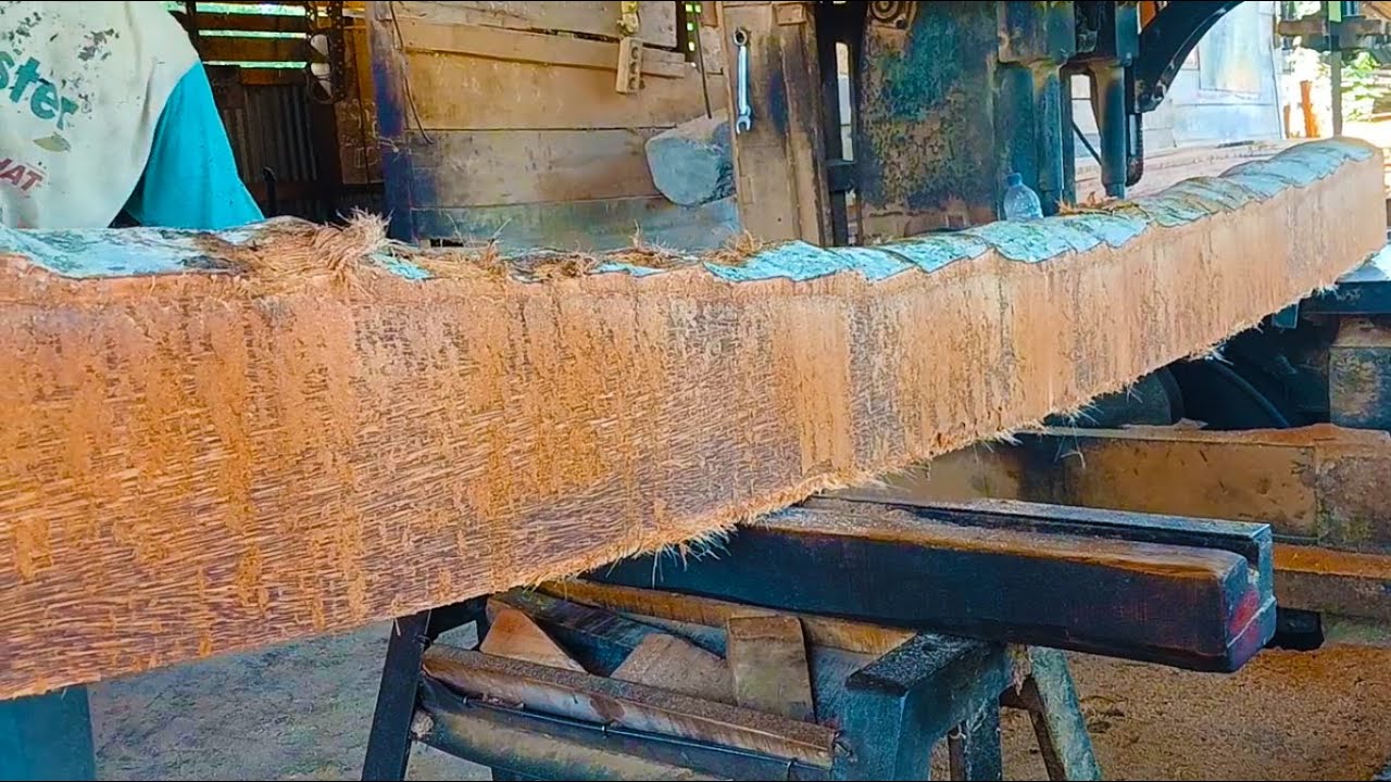 Sawing as Usual See How Coconut Trees Become Premium Building Material