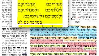הדף היומי מסכת שבועות י 10 ששי כ׳ כסלו תשע״ח