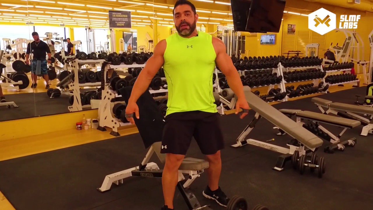 TAMAÑO MUSCULAR: BÍCEPS Y PECTORALES