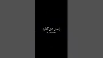 أذكر الله | سورة الحج الأية ٤٦-٤٧ القارئ ياسر الدوسري #اكسبلور #quran