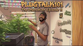 The Pheno Hunt pt 2. Ep 11 Automated Worm Bin ft Day 5 of flower  Autopots grow  - PlugTalk101