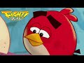 Angry Birds Fight Walkthrough iOS Android Angry Birds Fight Walkthrough iOS Android