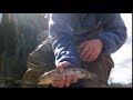 Wilson Creek Spring Fly Fishing North Carolina