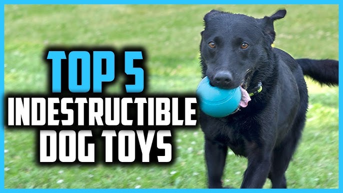 Tearribles Review: Neither a Chew Toy nor a Tug Toy - eileenanddogs