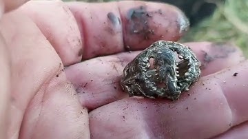 A lot of medieval finds # 183