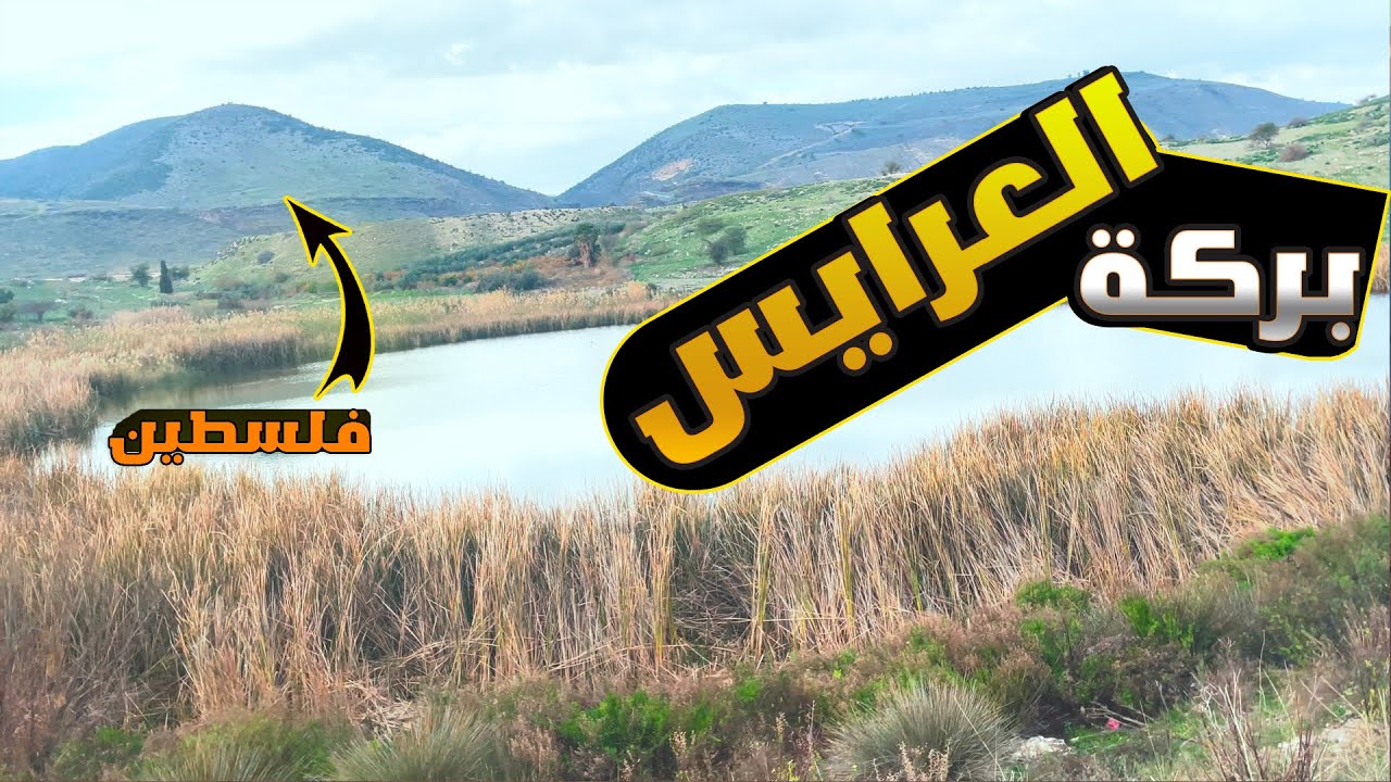 تخييم | شمال الاردن | بركة العرايس | فلسطين قبالنا 😱😱|لا يفوتكم