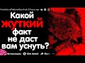 КАКОЙ ЖУТКИЙ ИЛИ ТРЕВОЖНЫЙ ФАКТ НЕ ДАСТ ВАМ УСНУТЬ?