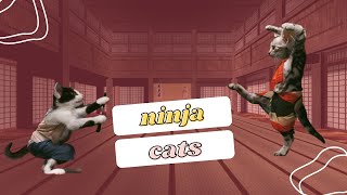 Funny Ninja Cats: I Am Stealth by Henlo Hoomans 18,048 views 3 years ago 5 minutes, 58 seconds