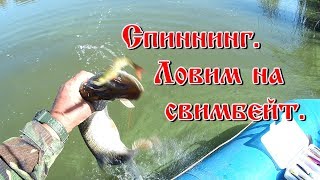 Спиннинг. Ловим на свимбейт.