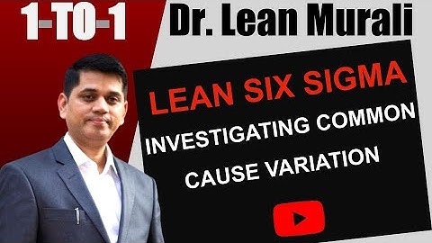 LEAN SIX SIGMA INVESTIGATING COMMON CAUSE VARIATION.(1-TO-1 Session with Dr. Lean Murali)