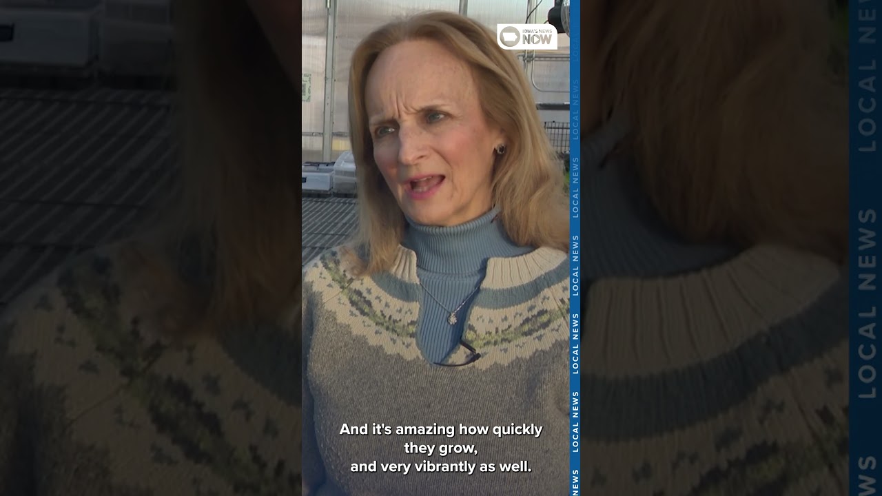 Cedar Rapids program uses hydroponics to grow jobs, skills and fresh food